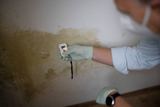 Best Asbestos and Lead Testing During Mold Inspection  in Carthage, TX